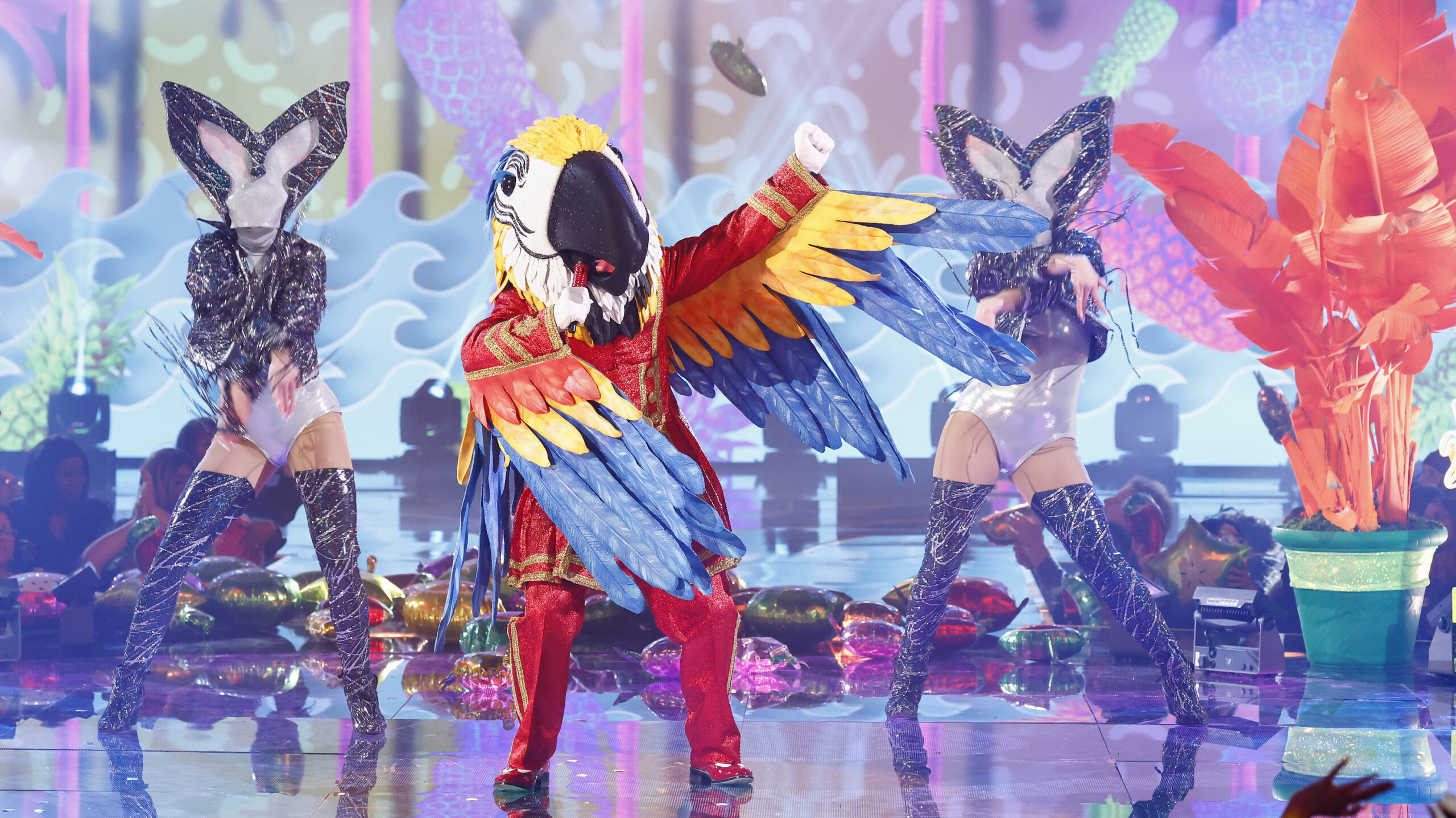 The Masked Singer 9 Watch Macaw's Epic One Direction Cover